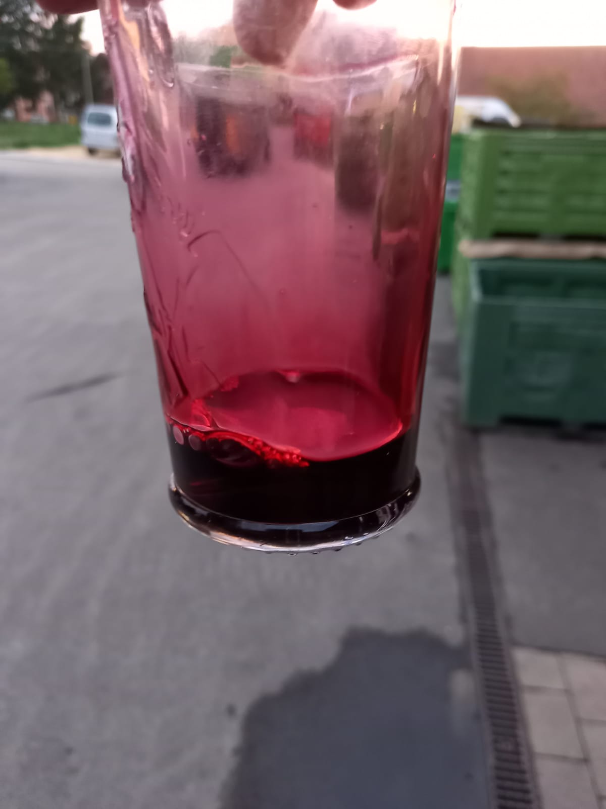 Black Gold Aronia - Galéria Kép (35.jpg)
