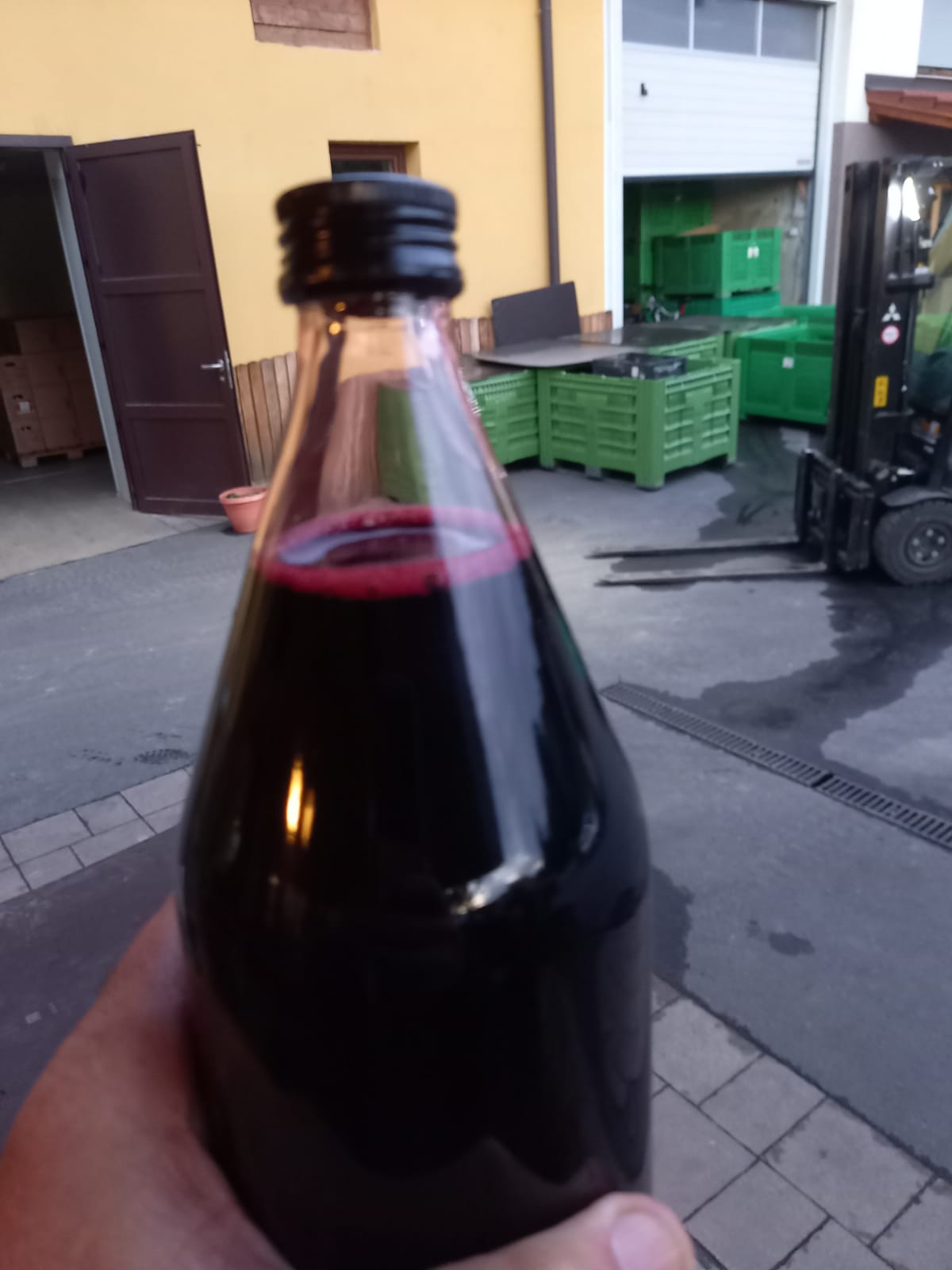 Black Gold Aronia - Galéria Kép (36.jpg)