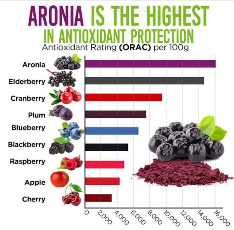 Aronia ORAC érték összehasonlító grafikon