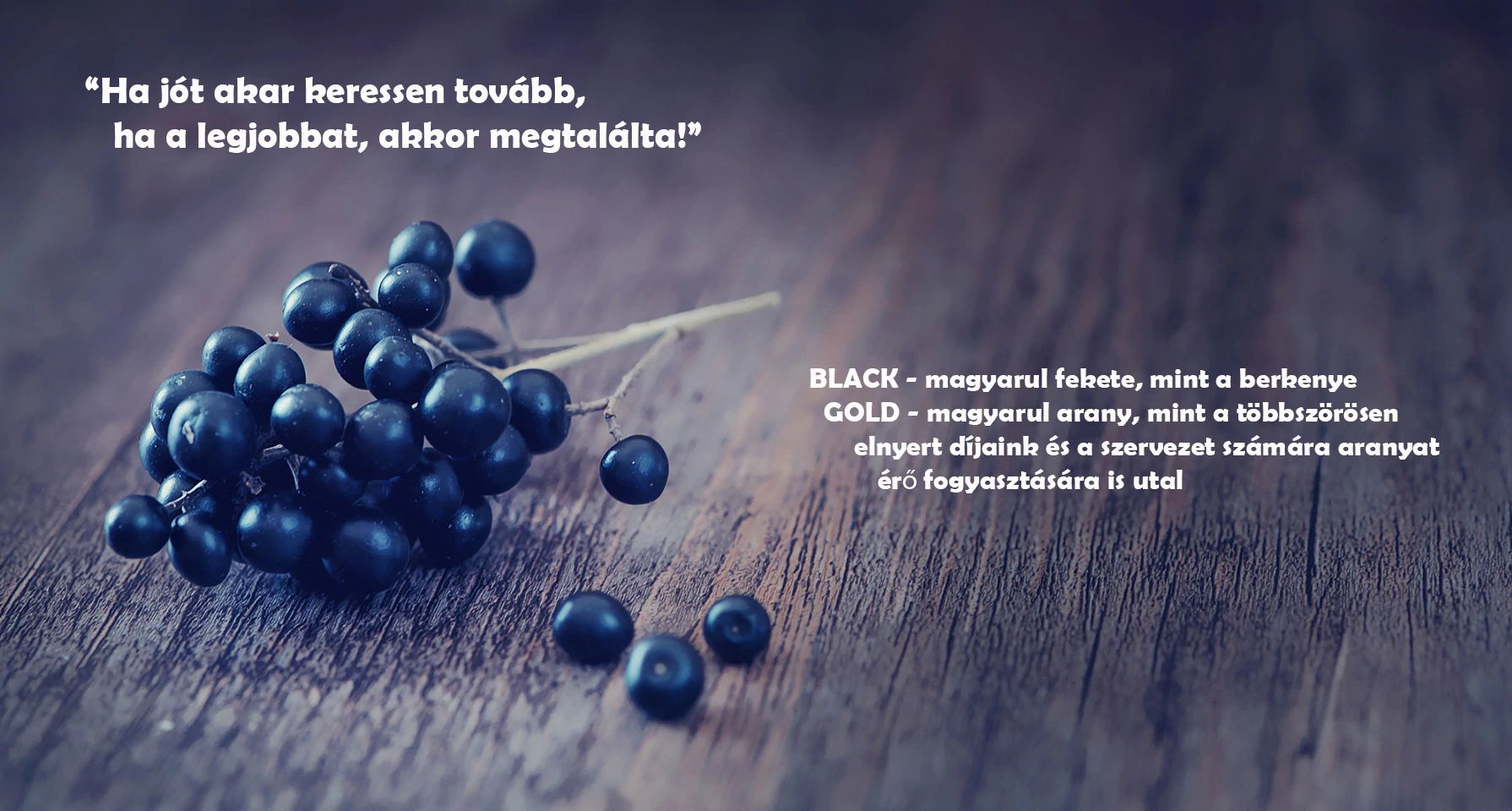 Arónia háttérkép 4